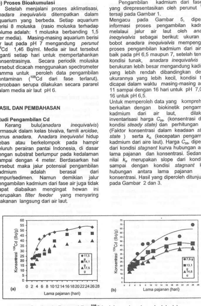 Gambar 1. Pengambilan 109Cd oleh anadara inequivalvis. (a) (a) pH 7 pH 6,5