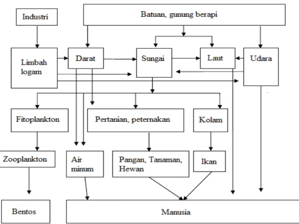 Gambar 2.1  Perjalanan Logam Sampai ke Tubuh Manusia (Klaassen et al.   1986; Marganof