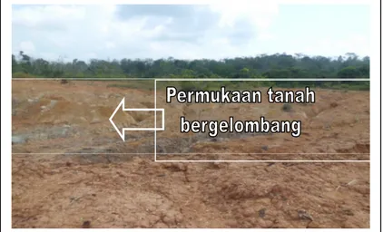 Gambar 2. Kondisi permukaan tanah timbunan pada lahan bekas tambang Pit-2 PT AMI 