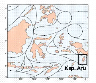 Gambar  2. Arus permukaan di wilayah perairan Maluku dan Kepulauan Aru 
