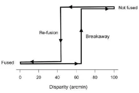 Figura 5 – Disparidad de fijación en función de la fusión y la diplopía.  (Otero-Millan et al.) 