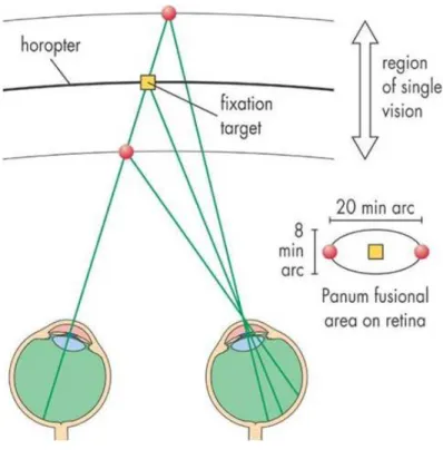 Figura 6 – Dibujo esquemático representando visión simple al estar las imágenes de los objetos  dentro del Área de Panum horizontal de 20 minutos de arco