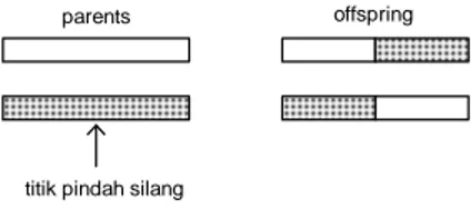 Gambar  5  menunjukkan  proses  pindah  silang  pada  satu  titik  dari  sepasang  parent  hingga  diperoleh  sepasang  individu  baru  hasil  pindah  silang  (offspring)