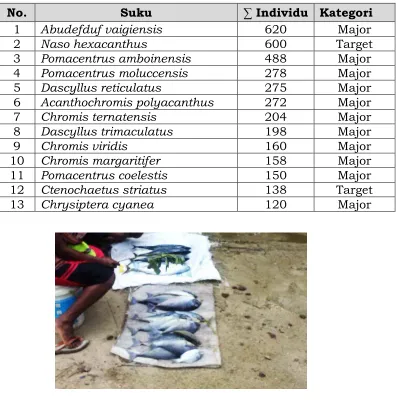 Gambar 2. Ikan 