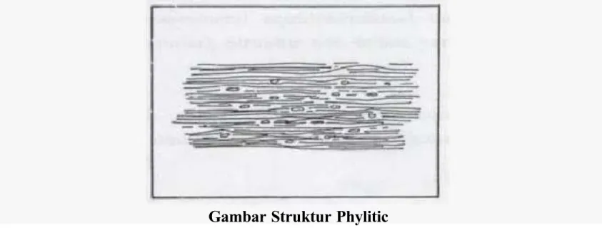 Gambar Struktur P%!liti&amp;