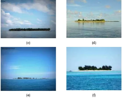 Gambar 2. Pulau Kapoposang (a), Pulau Papandangan (b), PulauGondongbali (c), Pulau Tambakulu (d),  Pulau Pamangangan (e)dan Pulau Suranti (f)
