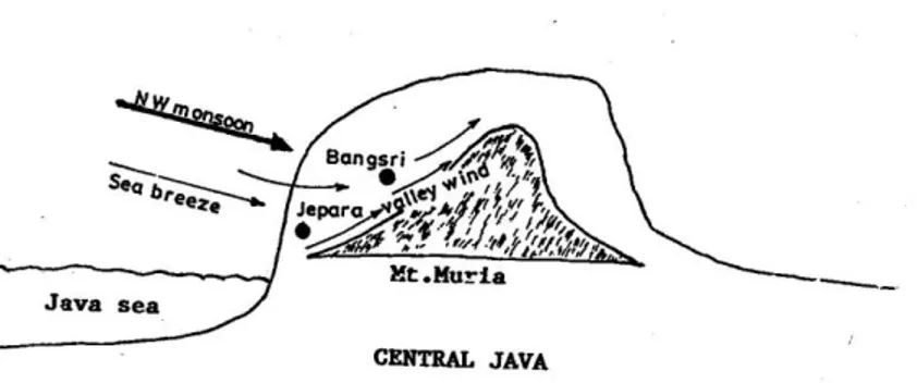 Gambar  8.  Penguatan  monsun  barat  oleh  angin  laut  dan  angin  lembah  pada lereng gunung Muria, Jepara