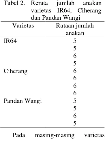 Tabel 2.Rerata jumlah anakanvarietas IR64, Ciherangdan Pandan Wangi