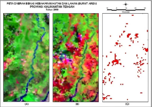 Gambar 1.  Hasil pendeteksian burned area di sebagian wilayah Kabupaten Pulang Pisau  Kalimantan Tengah dari citra MODIS