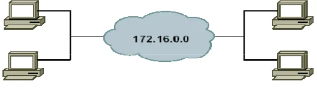 Gambar 2.13 Satu jaringan dengan IP Address 172.16.0.0