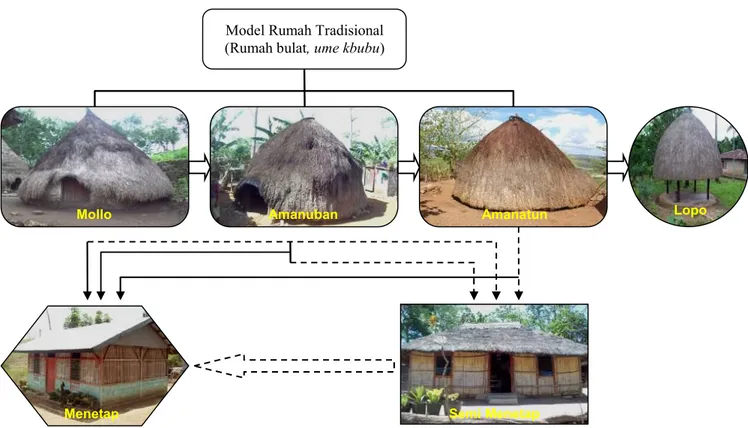 Gambar 1.  Diagram  proses  “evolusi  model”  rumah  di  Timor.  Alur  pertama  adalah  perubahan  bentuk  dari  rumah  tradisional  langsung  ke  rumah menetap atau permanen