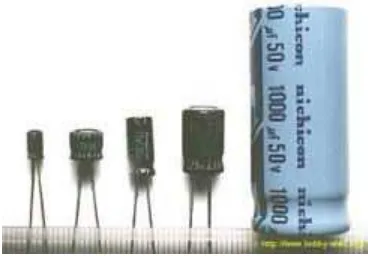 Gambar 2.8.  Electrolytic Capacitor (ELCO) 