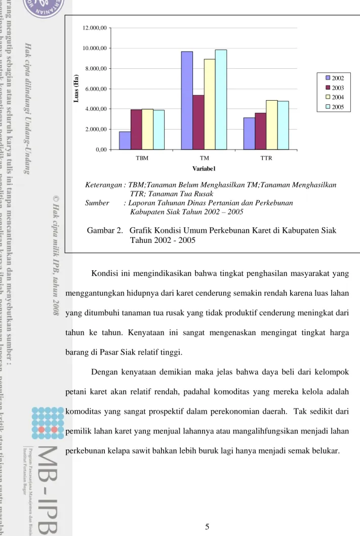 Gambar 2.   Grafik Kondisi Umum Perkebunan Karet di Kabupaten Siak   Tahun 2002 - 2005 