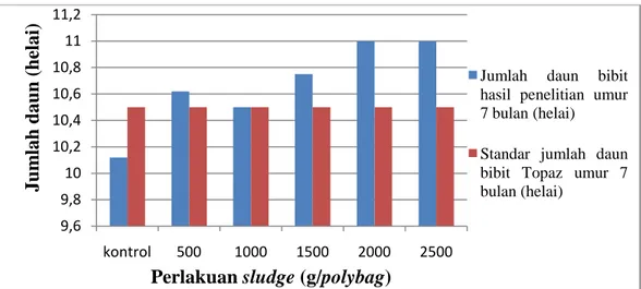 Gambar  2  memperlihatkan  perbandingan  jumlah  daun  bibit  kelapa  sawit  hasil  penelitian  dengan  standar  jumlah  daun  bibit  Topaz 