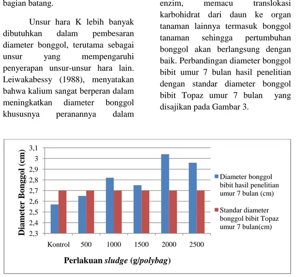 Gambar  3.  Grafik  perbandingan  diameter  bonggol  bibit  hasil  penelitian   dengan standar diameter bonggol bibit Topaz umur 7 bulan