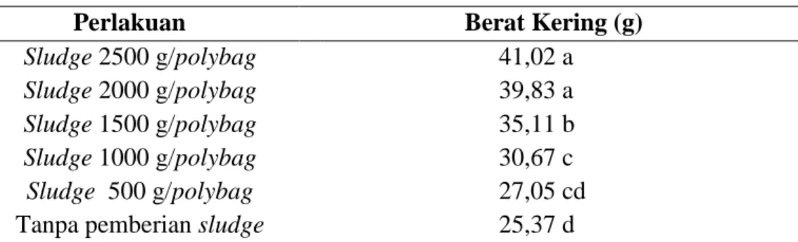 Tabel 4. Berat kering bibit kelapa sawit (g) pada umur 7 Bulan dengan perlakuan  pemberian sludge pabrik kelapa sawit