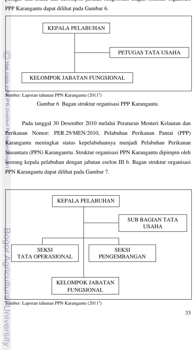 Gambar 6  Bagan struktur organisasi PPP Karangantu. 