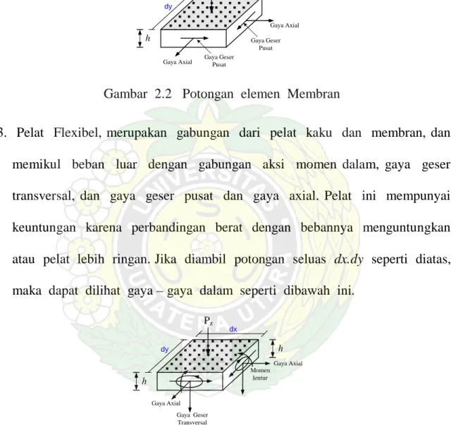 Gambar  2.2   Potongan  elemen  Membran 