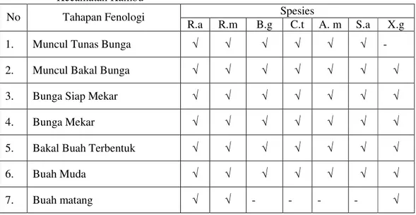 Tabel  3.    Pengamatan  Tahapan  Fenologi  Mangrove  Teluk  Kendari  di    Wilayah  Pantai 