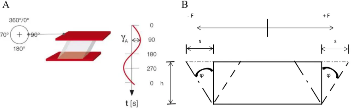 Figure 9.  Oscillatory  rheological  test:  A)  two  plates  model  to  illustrate  oscillatory  shear  tests, picture reprinted from (104); B) oscillatory tests:  shear force ▫F, deflection  path  ▫s  and  deflection  angle  ▫φ  in  the  shear  gap  h,  p