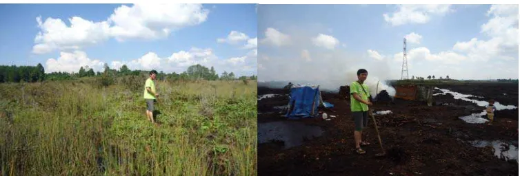 Gambar 9 menjelaskan jenis tutupan lahan dominan di Kecamatan Dolok 