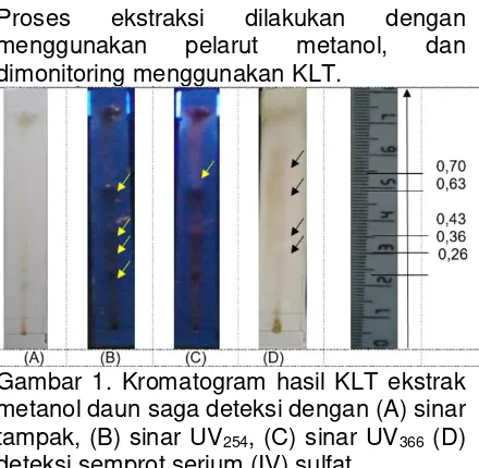 Gambar 1. Kromatogram hasil KLT ekstrak 