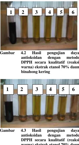 Gambar  4.1  Hasil  penentuan  panjang  gelombang  maksimum  DPPH  yang dilarutkan dengan metanol  Waktu reaksi larutan DPPH 