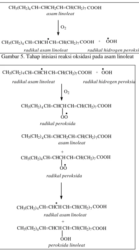 Gambar 5. Tahap inisiasi reaksi oksidasi pada asam linoleat 