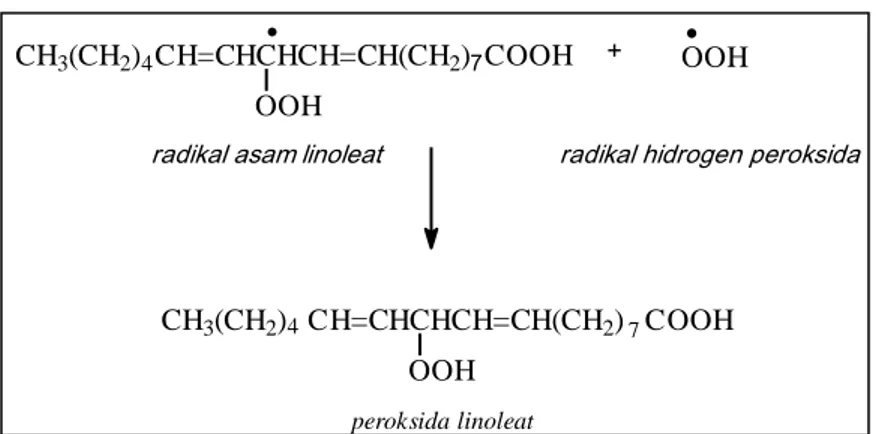 Gambar 7.  Tahap terminasi reaksi oksidasi pada asam linoleat  Antioksidan  hanya  berfungsi 