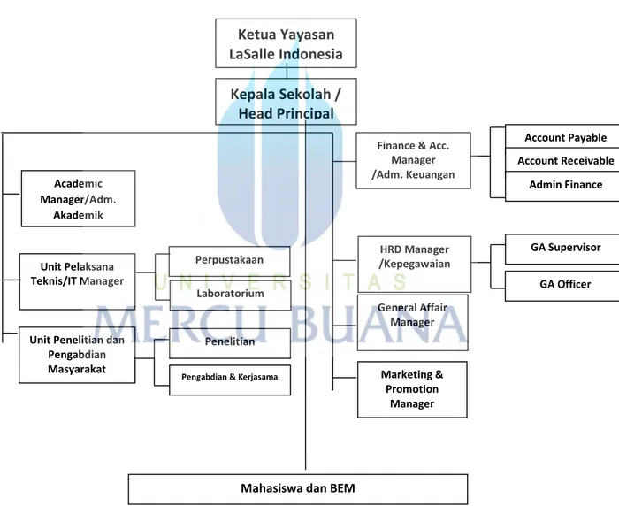 Gambar 3.1 Struktur Organisasi LaSalle College Jakarta 