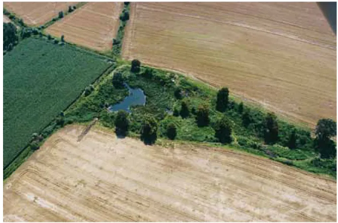 Fig. 11 Štrbinci a view   on a part of the site