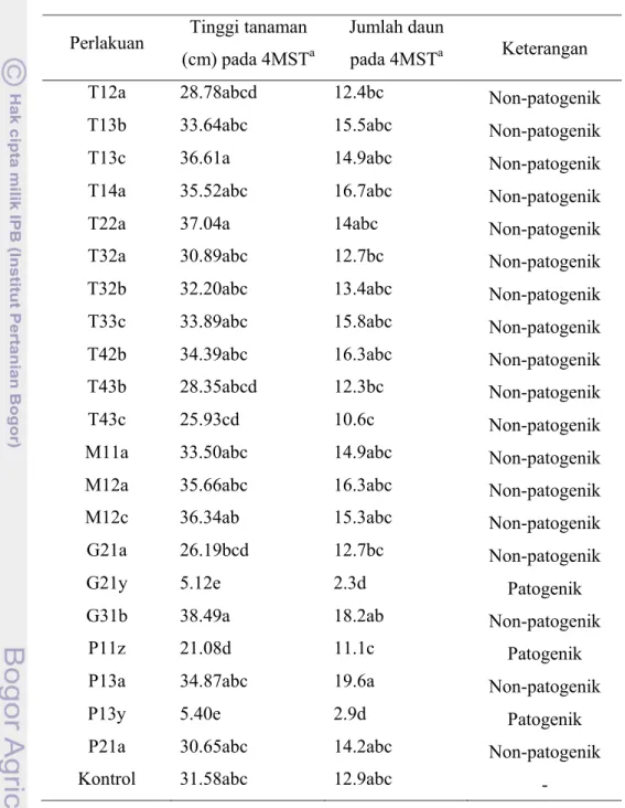 Tabel 1 Pengaruh perlakuan isolat Fusarium spp. terhadap pertumbuhan tanaman               bawang merah 