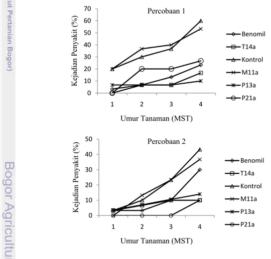 Gambar 5  Pengaruh perlakuan bibit bawang dengan isolat Fusarium spp. 
