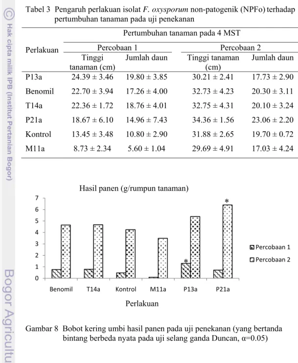 Tabel 3  Pengaruh perlakuan isolat F. oxysporum non-patogenik (NPFo)   terhadap                pertumbuhan tanaman pada uji penekanan 