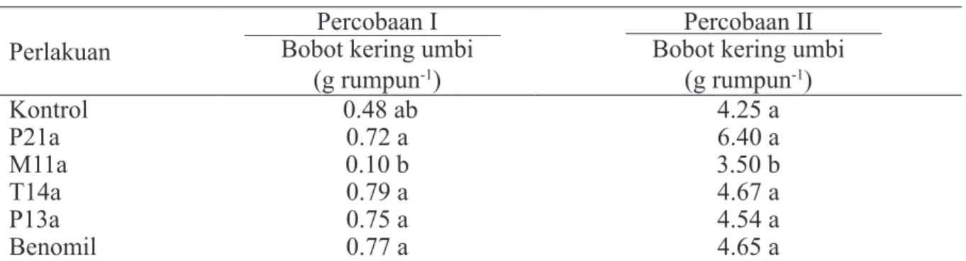 Tabel 5  Isolat F.  oxysporum nonpatogen terhadap bobot kering umbi bawang merah