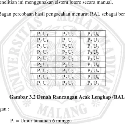 Gambar 3.2 Denah Rancangan Acak Lengkap (RAL)  Keterangan : 