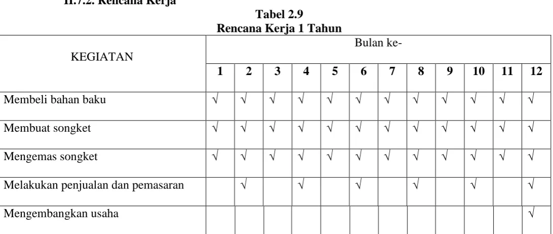 Tabel 2.9 Rencana Kerja 1 Tahun 