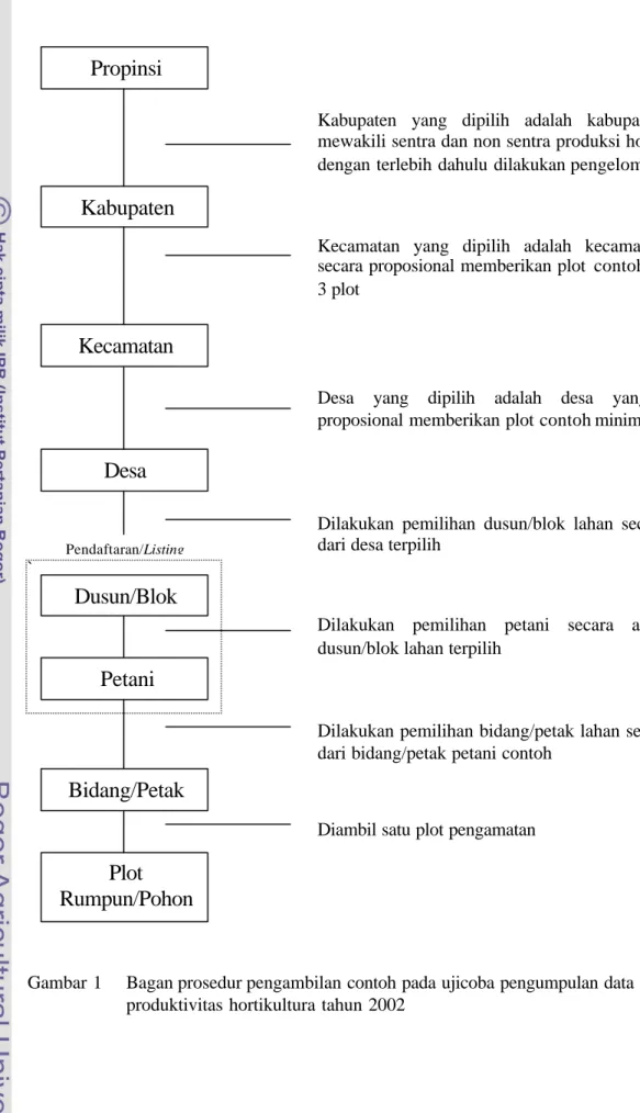 Gambar 1    Bagan prosedur pengambilan contoh pada ujicoba pengumpulan data  produktivitas hortikultura tahun 2002 