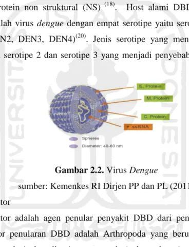 Gambar 2.2. Virus Dengue  