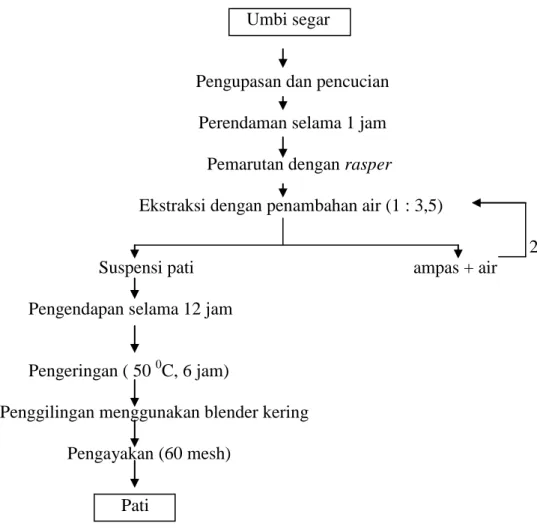 Gambar 2  Ekstraksi pati garut (Metode Lingga et al. 1986 yang dimodifikasi) 