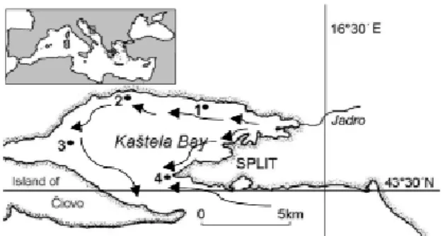 Fig. 1.  Locations of experimental stations in Kaštela Bay  (Adriatic Sea, Croatia)