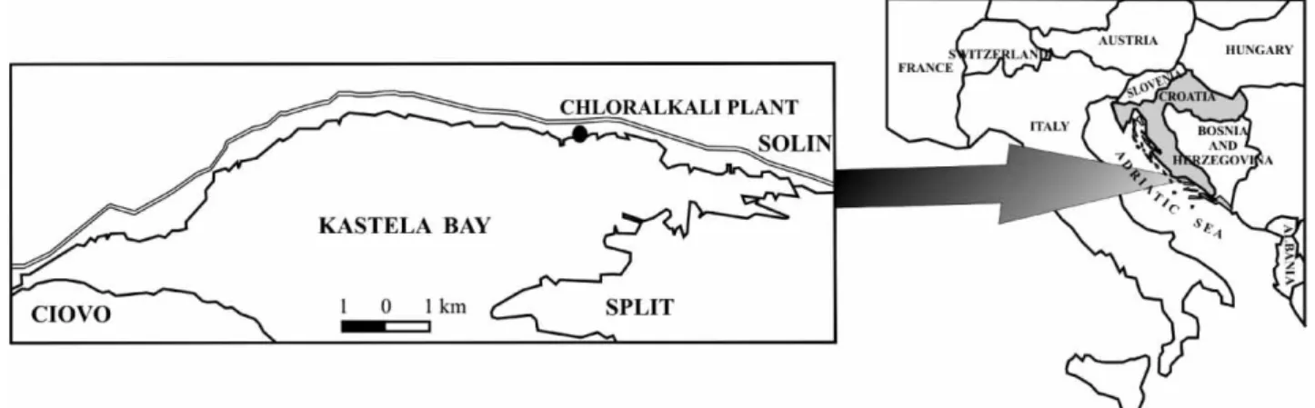 Figure 1. Location of the Ka{tela Bay with the position of the former chloralkali plant.