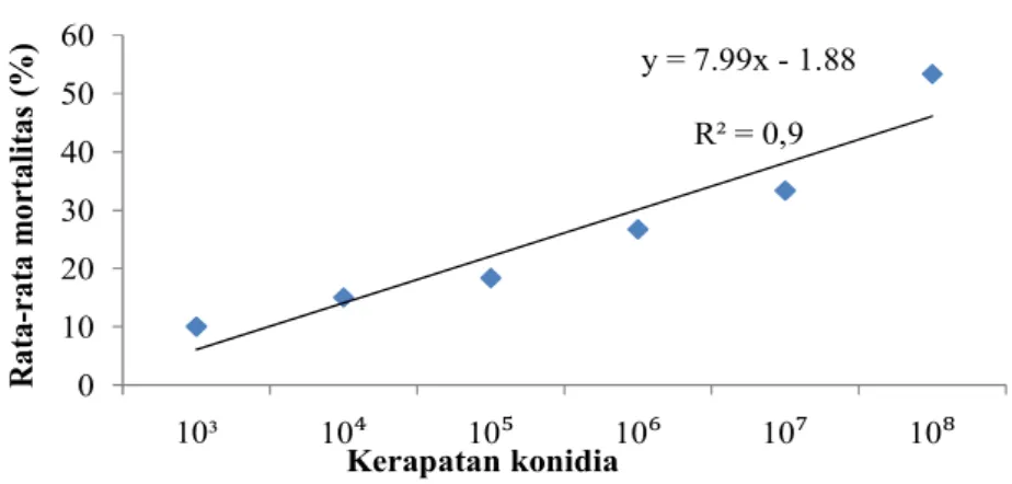 Gambar 1.  Probit mortalitas (lethal concentration) B. bassiana terhadap mortalitas  imago D