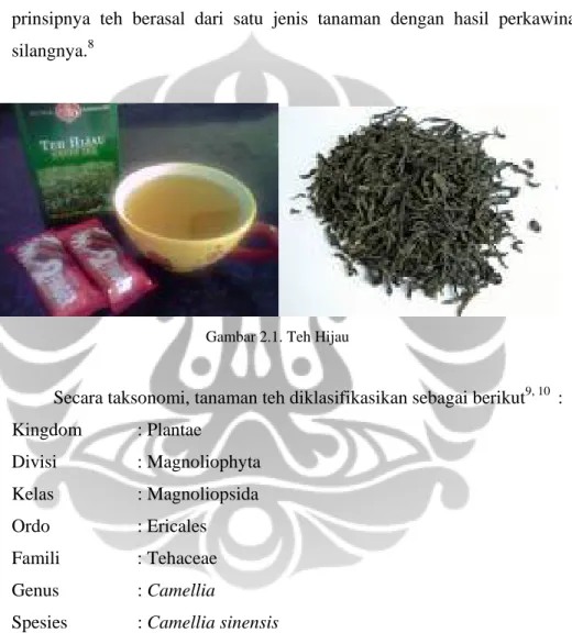 Gambar 2.1. Teh Hijau 