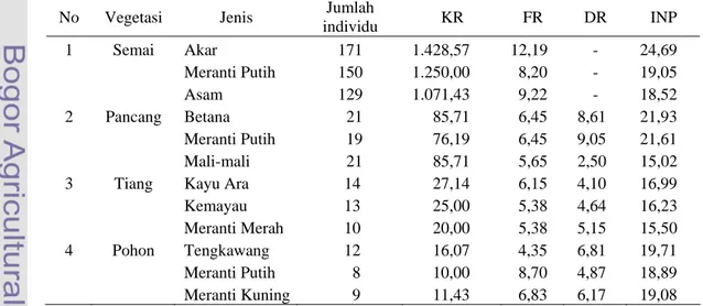 Tabel  6.  Stratifikasi Vegetasi Dominan Menurut Jumlah Individu dan INP   perhektar pada Areal Terbakar di Taman Nasional Bukit Baka 