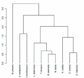 Figure 8. The dendrogram of cluster analysis on the examined species  of fungi in relation to their content of heavy metals.