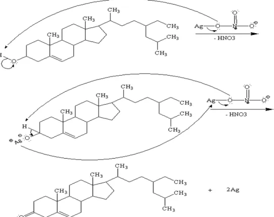 Gambar 5.  Perkiraan mekanisme reaksi sintesis nanopartikel perak dengan menggunakan ekstrak daun paliasa  (Kleinhovia hospita Linn.) (Zakir dkk., 2014) 