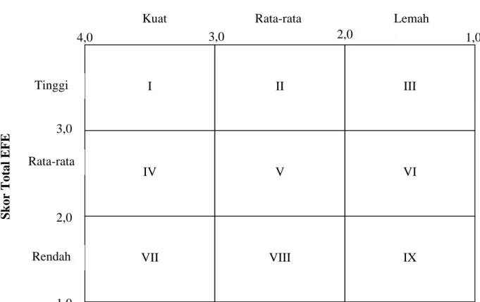 Gambar 2.4  Matriks Internal - Eksternal 