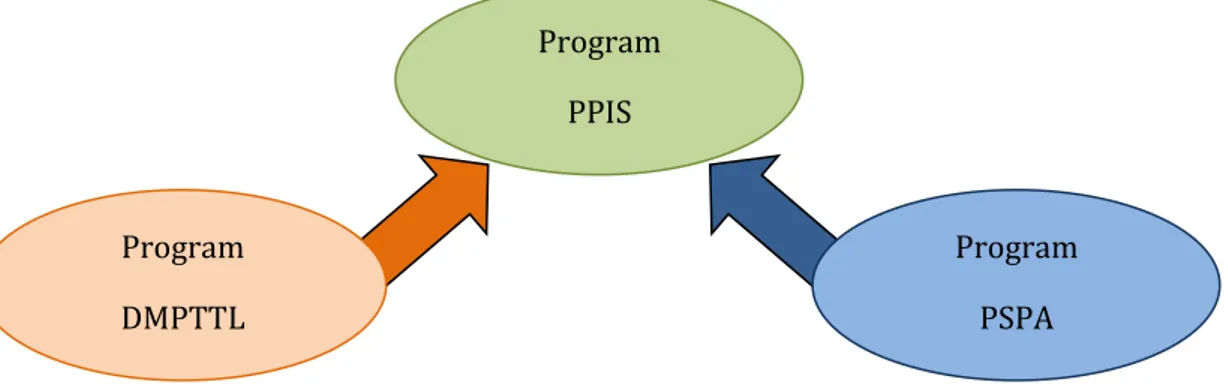 Gambar 3  Hubungan antara program teknis (PPIS) dengan programgenerik  (DMPTTL dan PSPA) 