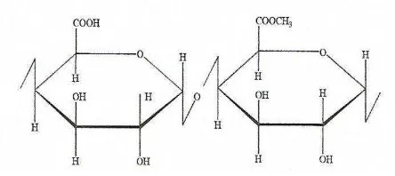Gambar 2.3.Struktur kimia pektin 